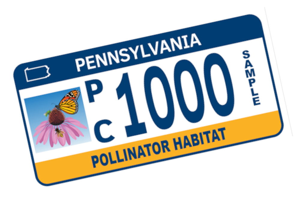 pollinator habitat license plate