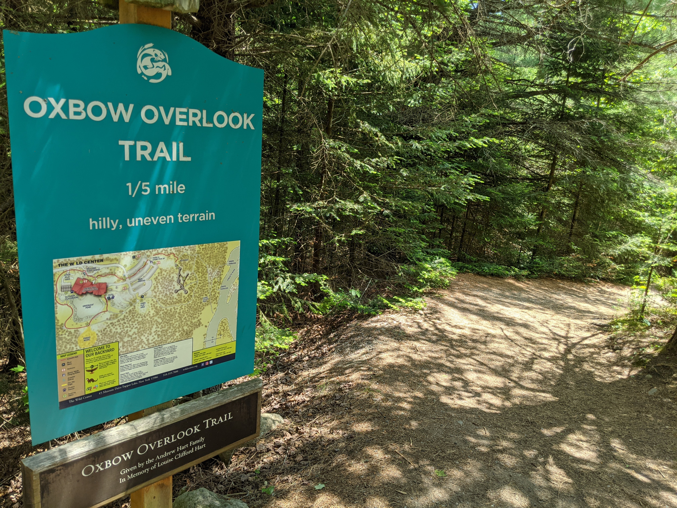 Like Ewoks, Public Explores Life Above Adirondack Trees