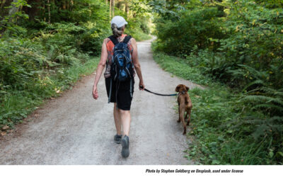 Sunday Rainy for Last Daniel Boone Dog Walk of '23