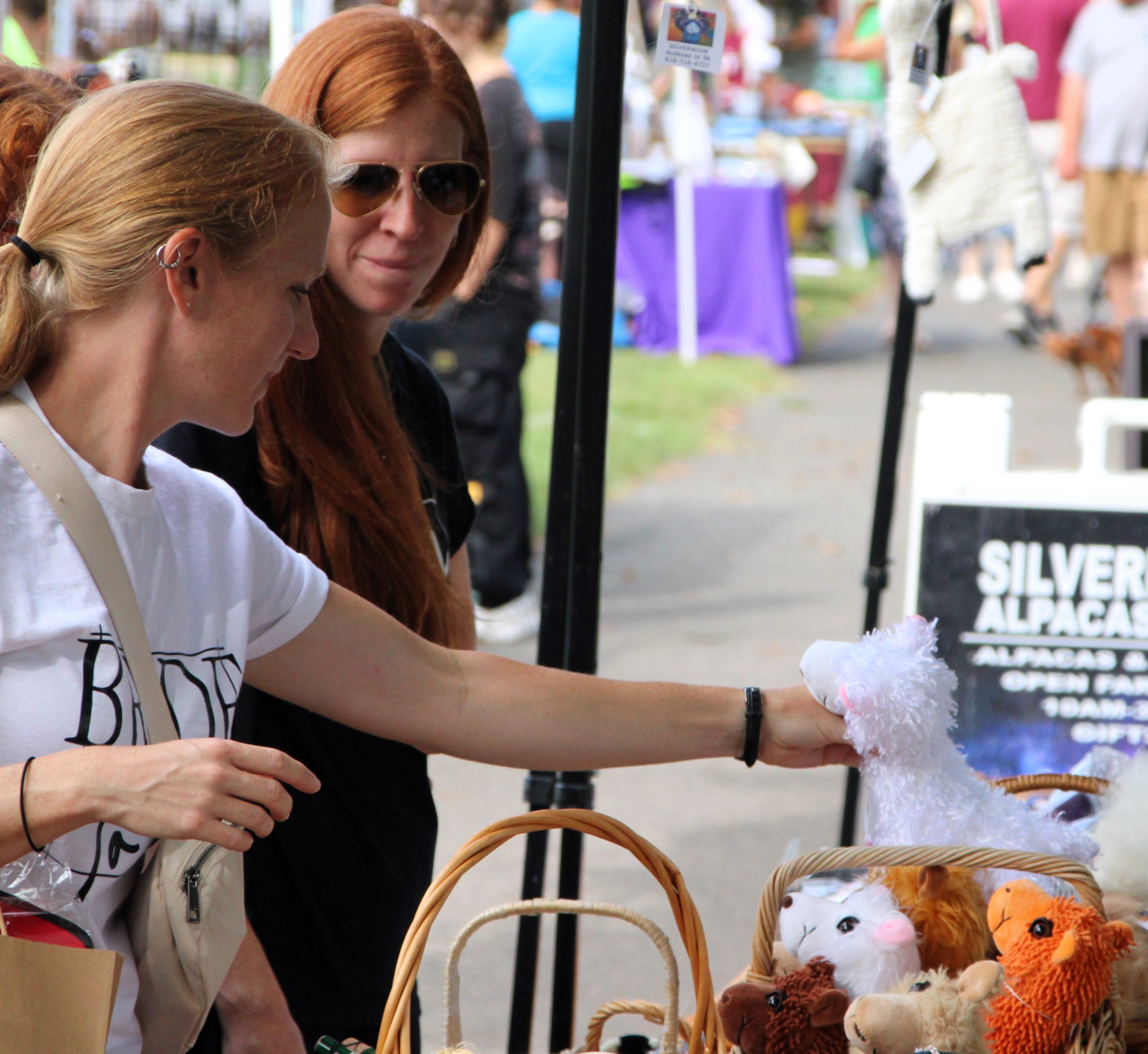 Sun-Drenched Pottstown Pet Fair Attracted Hundreds