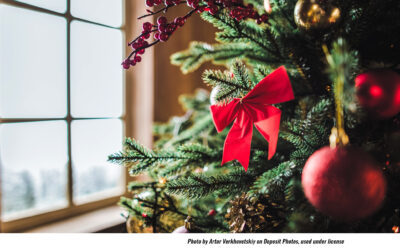 Christmas Tree Season, Already? 5 Tips for the Best One