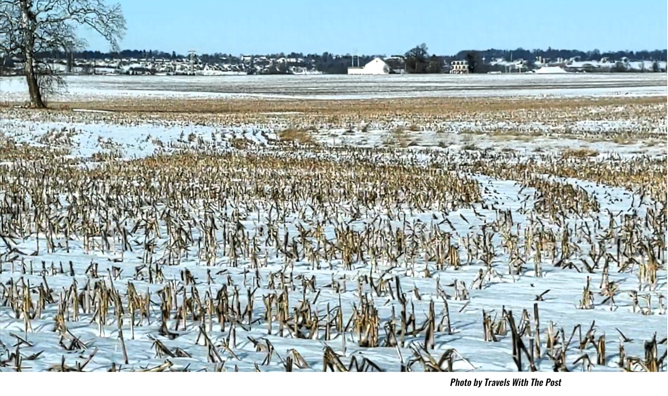 Pottstown Snow? Expect A Little Less; Storm to Linger