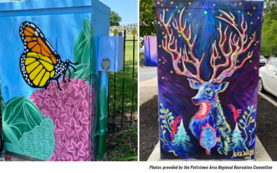 Love Murals on Pottstown Traffic Boxes? More are Planned