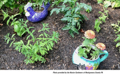 Foodscaping Among Flowers, Shrubs; Learn How Aug. 17