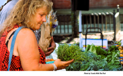 Local Farmers’ Markets Boosting Economy, and Nutrition