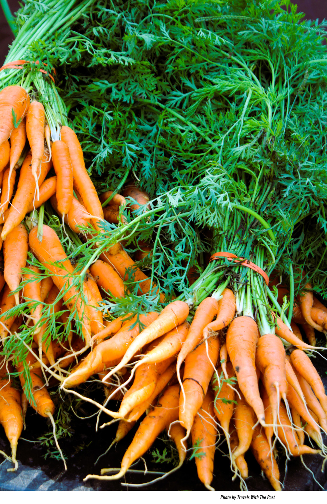 Local Farmers’ Markets Boosting Economy, and Nutrition