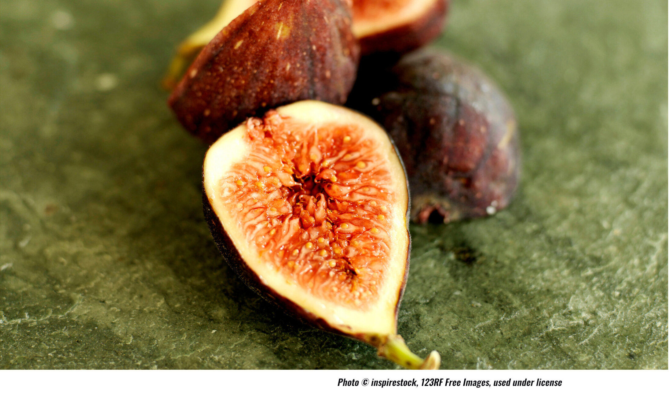https://travelswiththepost.com/2025/08/21/fig-festival-2025/