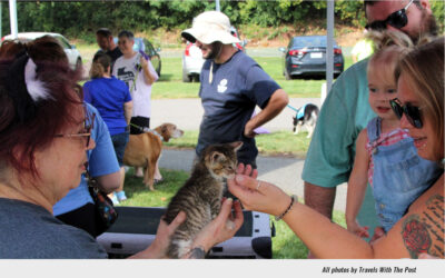 Pottstown’s Pet Fair Returns Saturday in Memorial Park