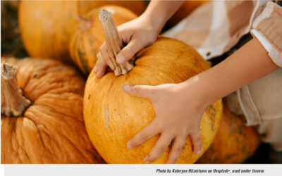 West MontCo Pumpkin Patches Get Tourism Bureau Boost