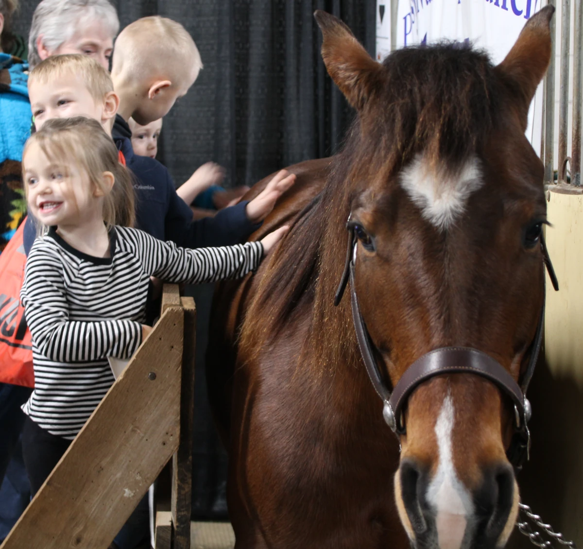 Farm Show Chooses 'Powering Pennsylvania’ as 2025 Theme