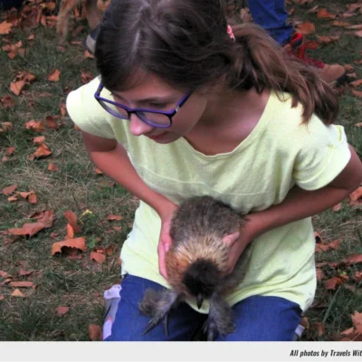 At the Pottstown Pet Fair in Memorial Park (Sept. 7)