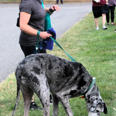 At the Pottstown Pet Fair in Memorial Park (Sept. 7)