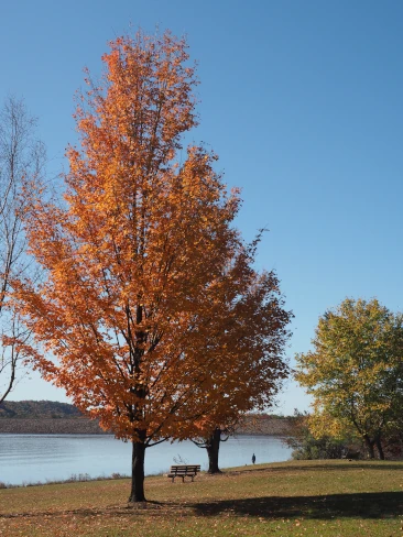 Colors Explode Along Roads Headed to Beltzville State Park