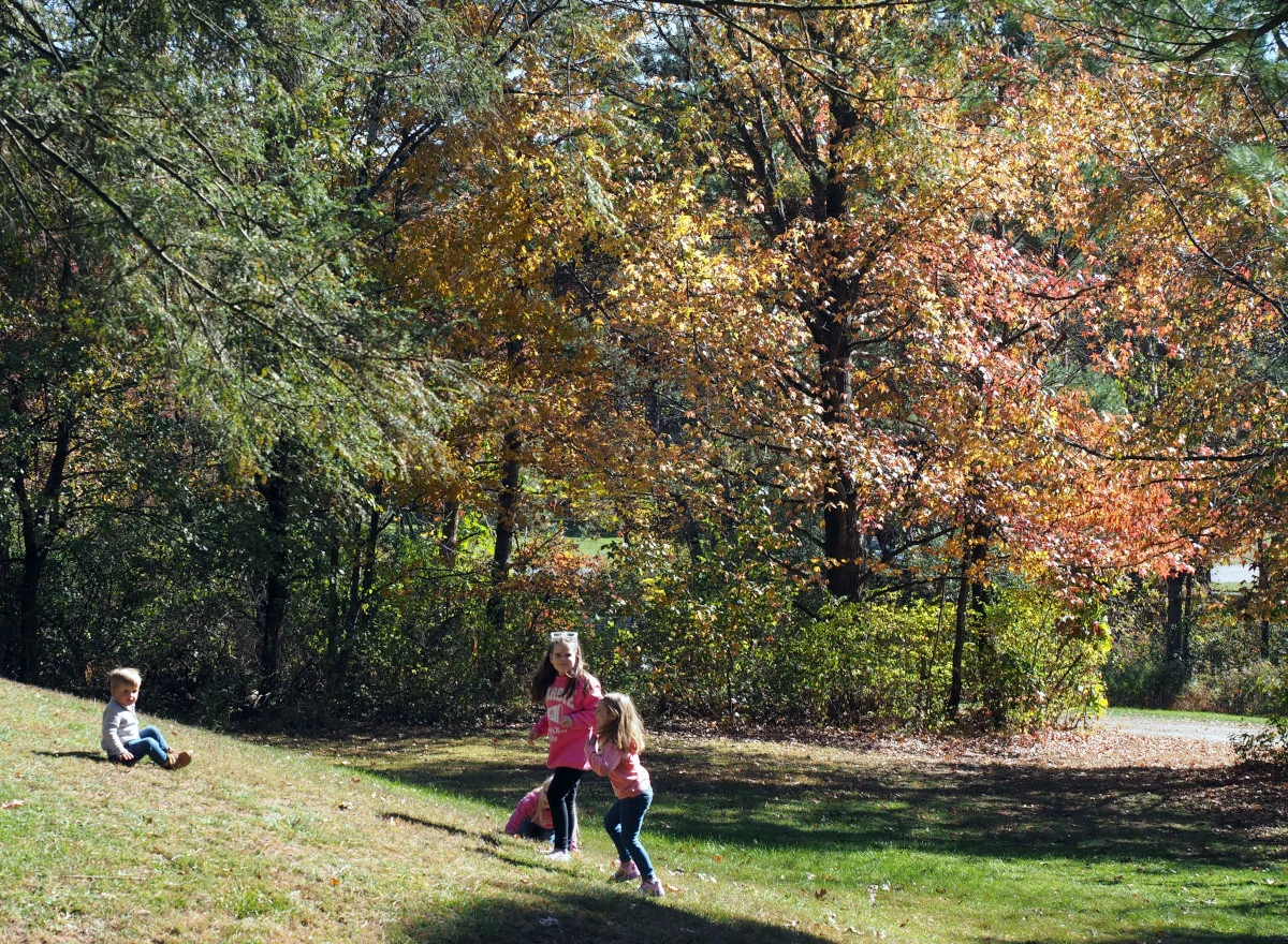 Colors Explode Along Roads Headed to Beltzville State Park