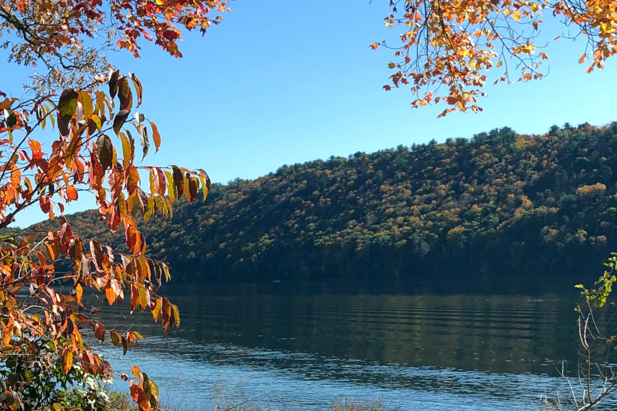 Colors Explode Along Roads Headed to Beltzville State Park