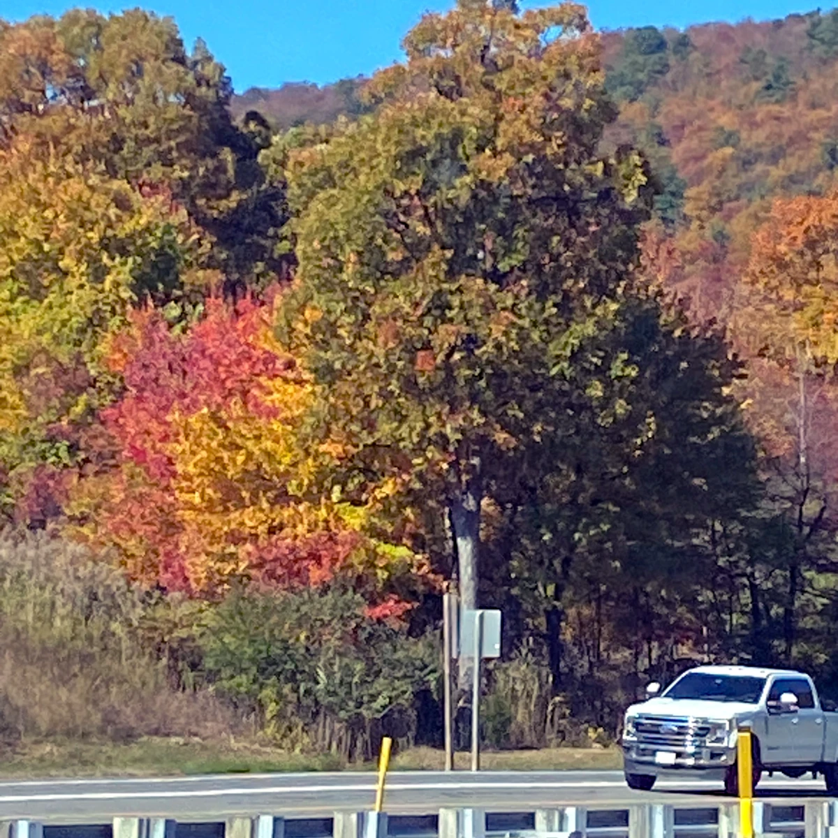 Colors Explode Along Roads Headed to Beltzville State Park