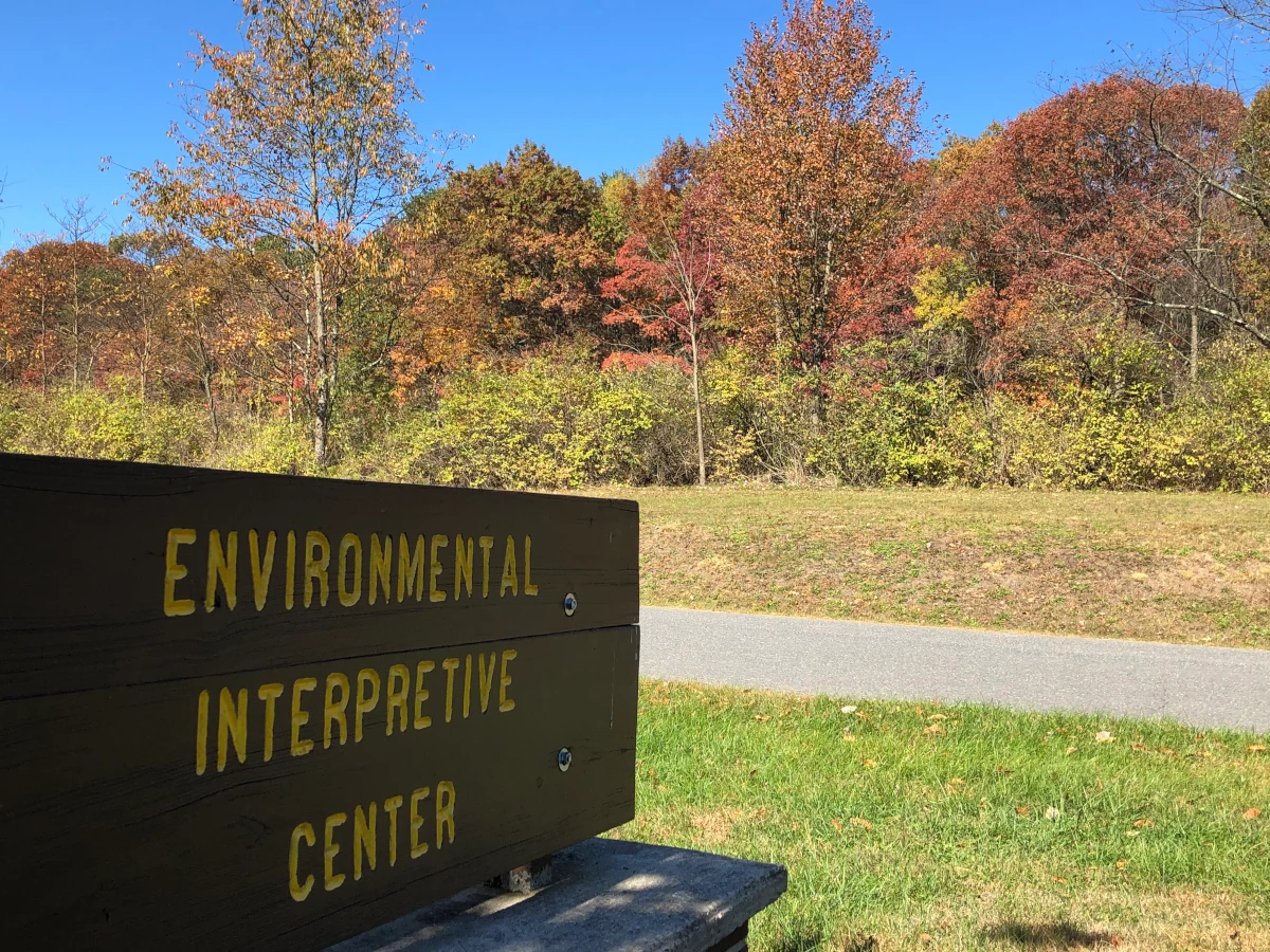 Colors Explode Along Roads Headed to Beltzville State Park