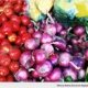 Best Route Mobile Market to Pop Up Wednesdays at TRAAC