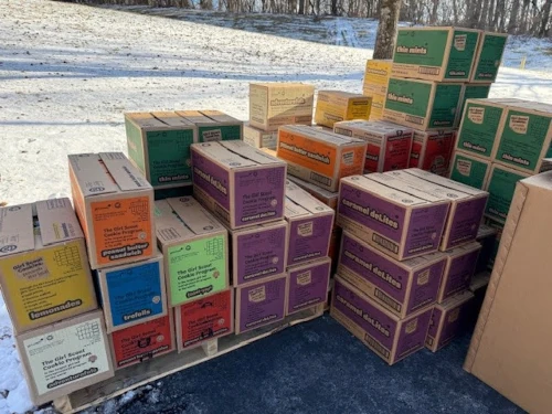 Girl Scout Cookies are Back; Satisfy Your Sweet Tooth