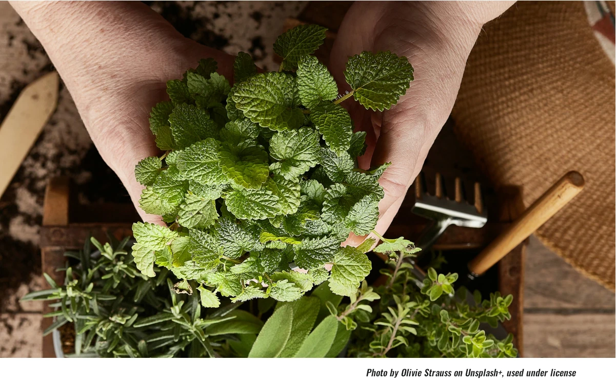 Sustainable Living Made Easier, with May 17 Expo Activities