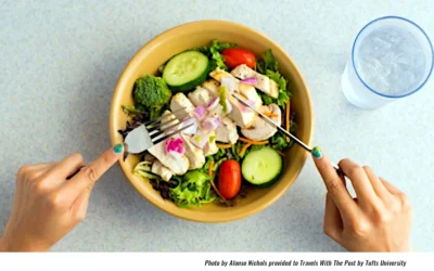 Dietitian-Designed Meals Could Make You Healthier
