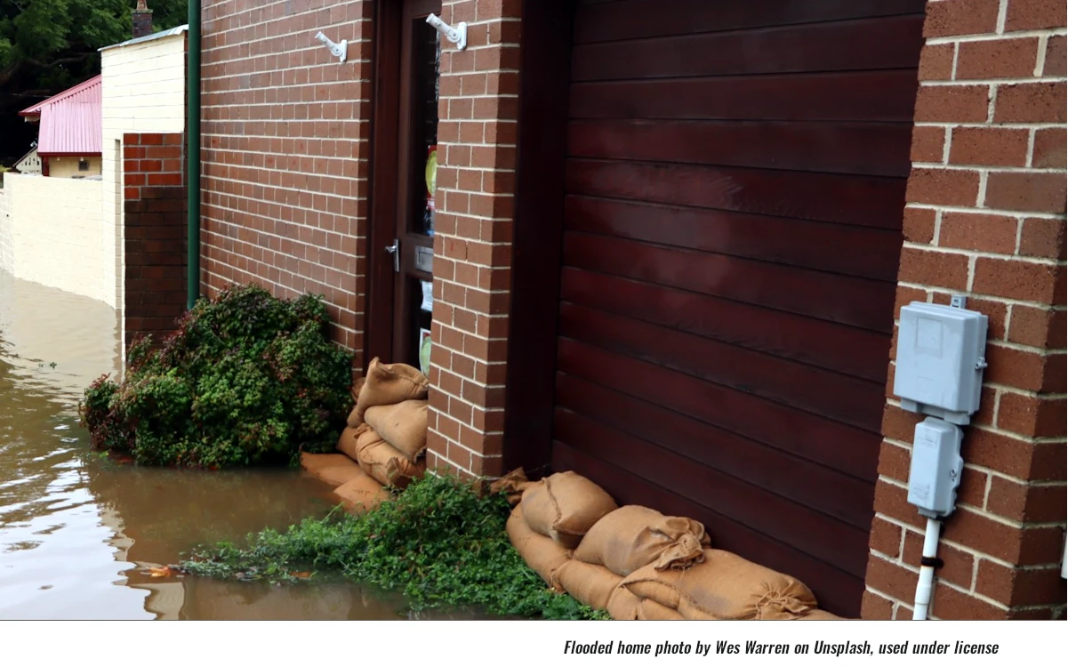 Outlets New Add Retailer; Water Damage Restorer Opens