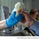 PA Ice Cream Trail is Cold, Sweet, and Adventure-Filled!