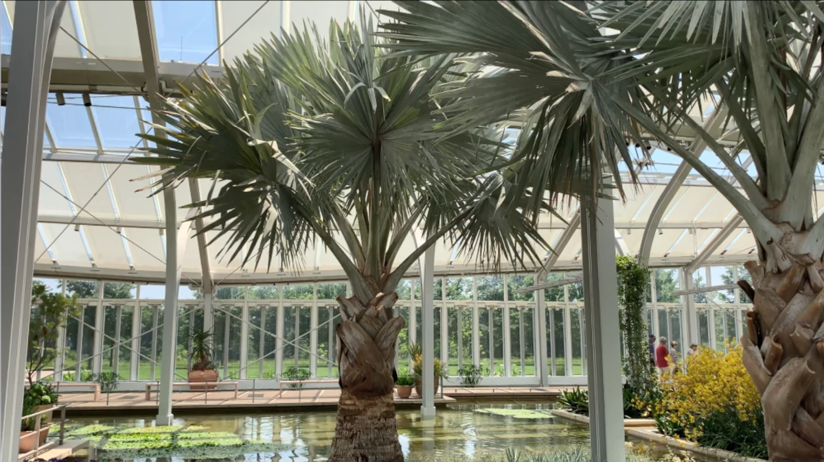 At Longwood: Fountains, New Facilities, and Bright Blossoms