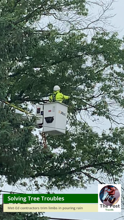 Met-Ed Tree Trimming in Lower Pottsgrove Ignores Rain