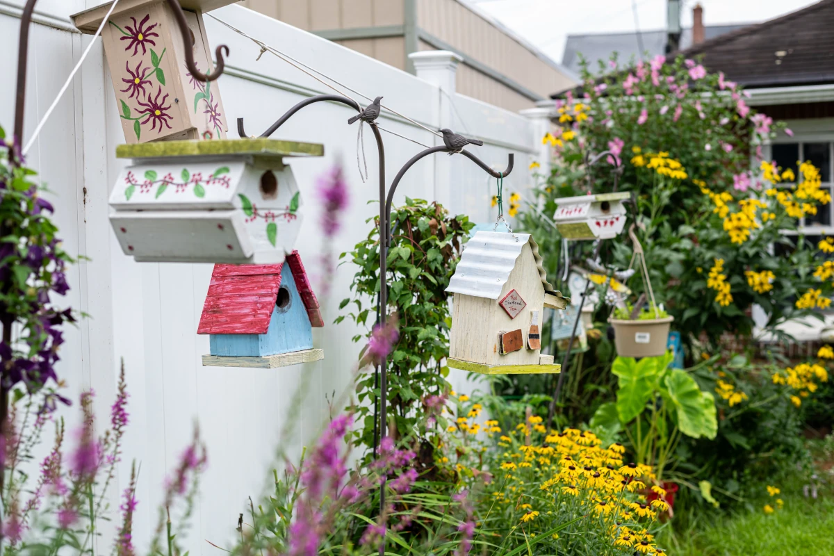 Regional Garden Contest Returns, Registration Still Open