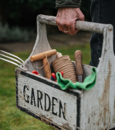 There’s Still Time to Plant, Enjoy a Season of Sunflowers