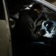 Senate Passes Bill to Deal with Car Thieves Newest Tactic