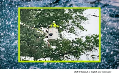 Met-Ed Tree Trimming in Lower Pottsgrove Ignores Rain