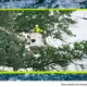 Met-Ed Tree Trimming in Lower Pottsgrove Ignores Rain
