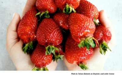 Historical Society Strawberry Festival Returns Saturday