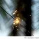 Public Fireworks Are Best; Be Cautious If Using Your Own