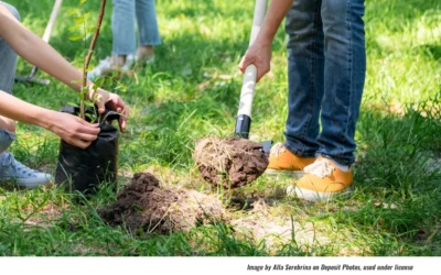 Business: Giant Distributes Tree Grants; Marquis Selects Boyertown Executive