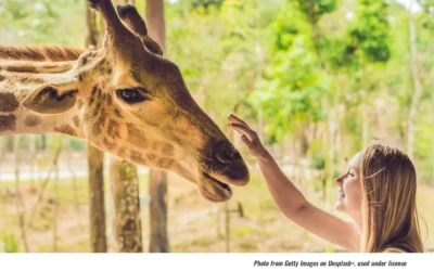 Free Zoo Visit on Labor Day; New Art at Berman Museum
